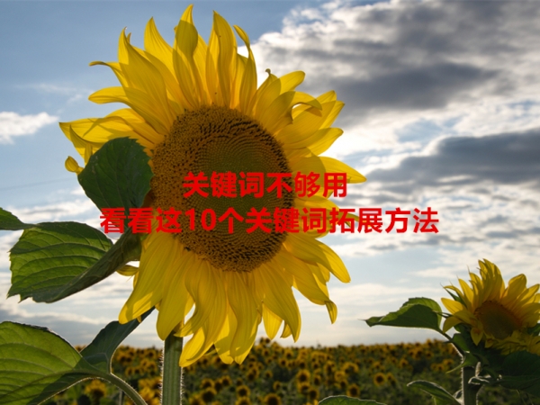 關鍵詞不夠用，看看這10個關鍵詞拓展方法！